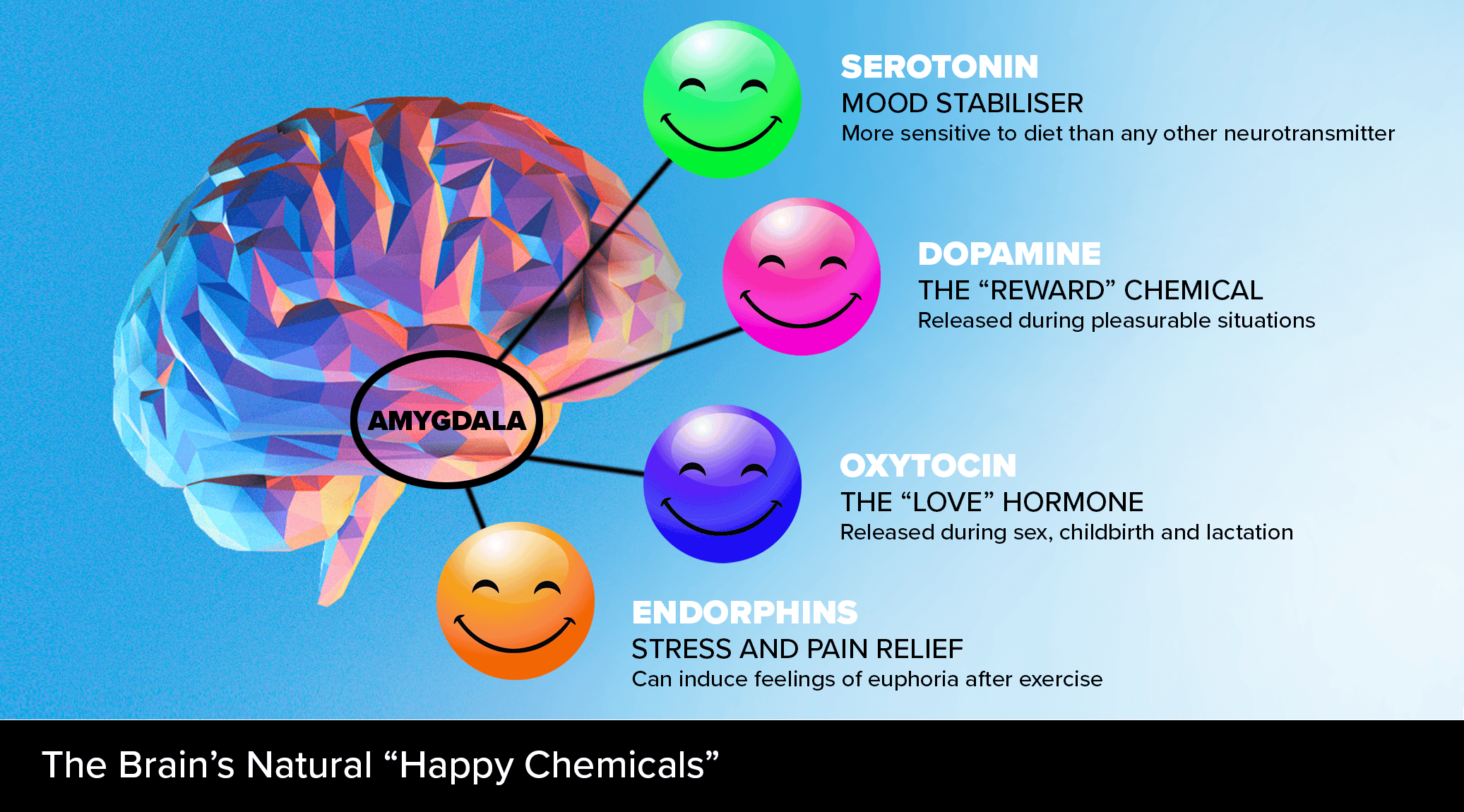 Happy Brain Chemicals