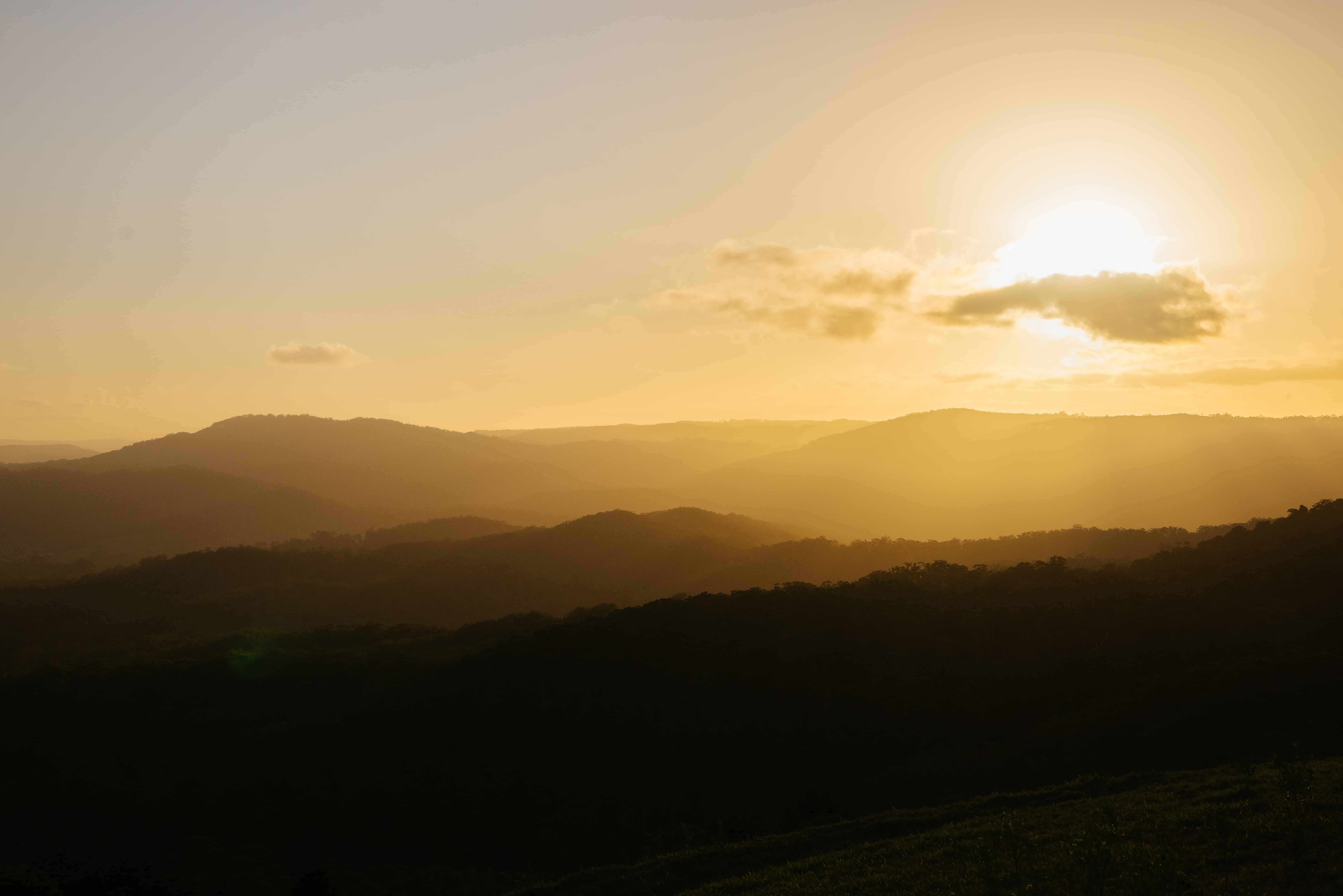 PalladiumPrivate-520 (2)